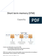 1 Short Term Memory Capacity