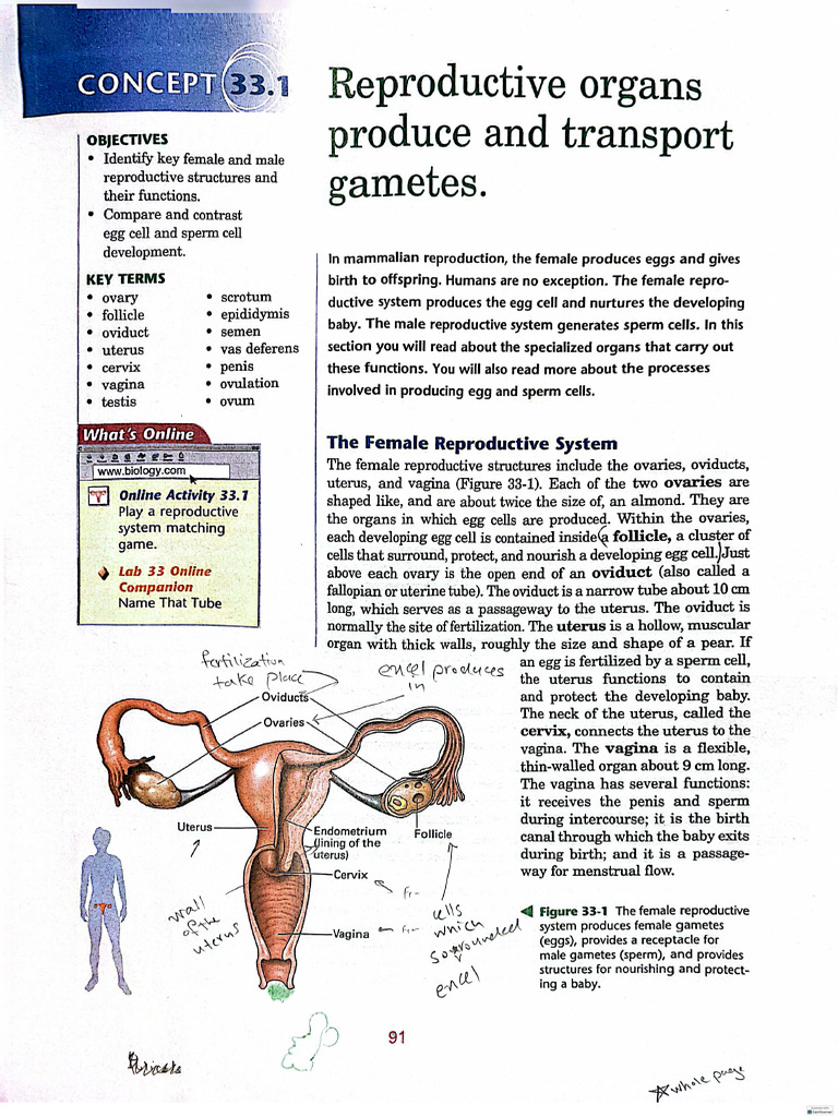 Bio Check | PDF