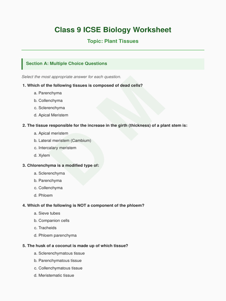 Class9 Biology Plant Tissues Worksheet | PDF | Tissue (Biology) | Plant ...