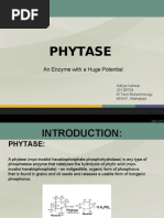 Phytase ppt