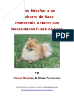 Como Enseñar A Un Cachorro de Raza Pomerania A Hacer Sus Necesidades Fuera de Casa