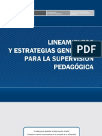 Supervision Pedagogica