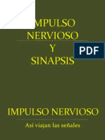 4 Impulso Nervioso 2012