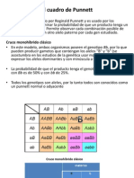 El Cuadro de Punnett