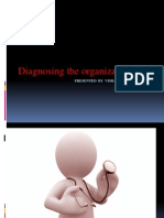 Diagnosing Organisations Presentation 