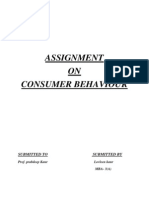 Assignment ON Consumer Behaviour: Submitted To Submitted by