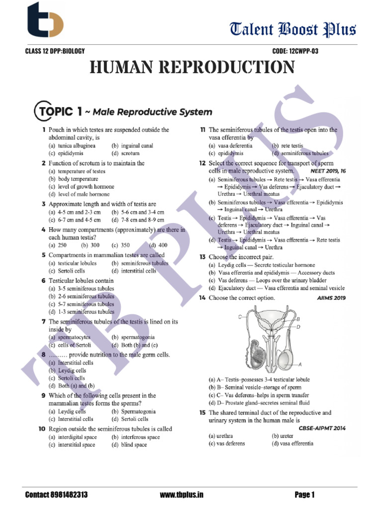 Human Reproduction (Topic Wise DPP) | PDF