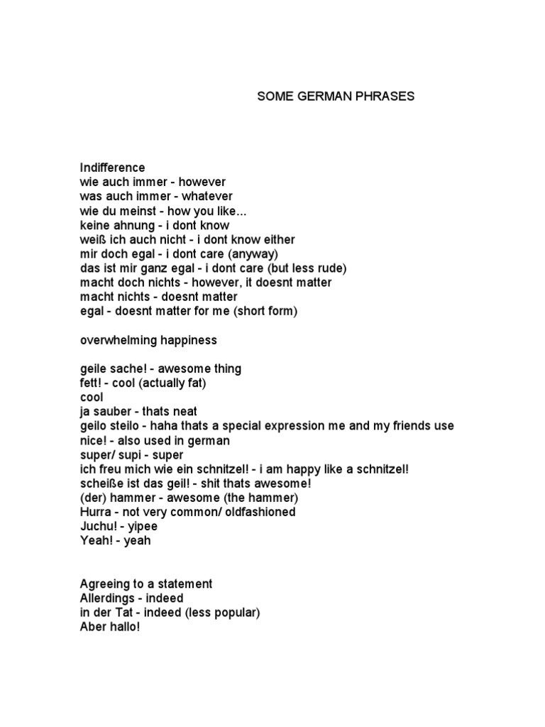 Some German Phrases | PDF