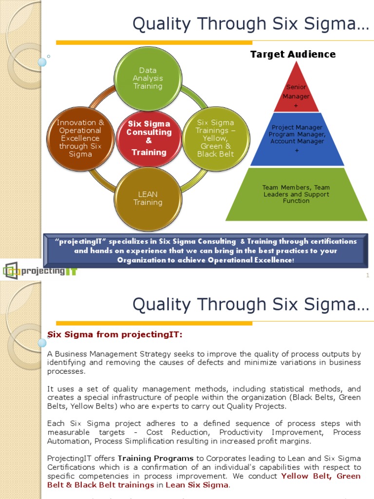 Lean Six Sigma Training and Consulting | PDF | Six Sigma | Lean ...