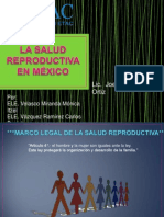 Estrategia de Riesgo en La Salud Reproductiva y Perinatal