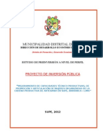 PIP - Mejoramiento de La Produccion y Promocion de Artesania en El Distrito de Supe - Doc Rec Ecg 20.98.12