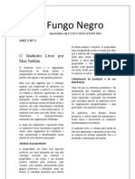 Fungo Negro Nº2