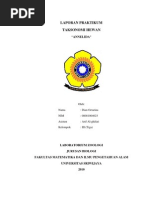 Download VI Annelida LAP TAKSONOMI HEWAN by dianapple SN104666103 doc pdf