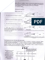 biologia material genetico