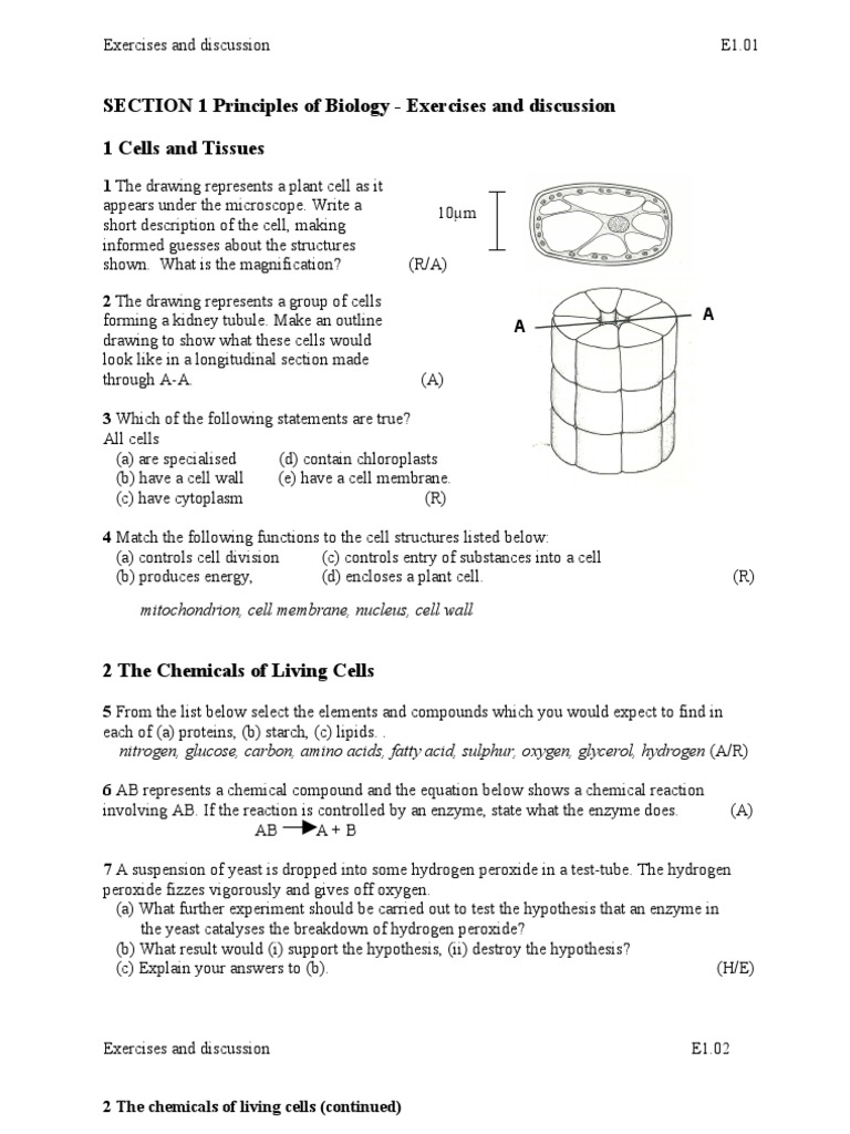 IGCSE BIOLOGY Exercises 01 Principles of Biology PDF Photosynthesis