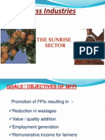 Food Process Industries: The Sunrise Sector