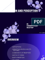 Perception Ppt