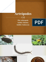 ARTRÓPODES - Quelicerados e Trilobitas