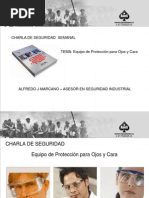 Download Charla de Seguridad - Uso de Lentes de Seguridad by Tiendas Tag SN104731357 doc pdf