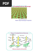 Download Theory of Scanning Electron Microscope by globalsino8 SN104749311 doc pdf