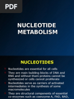 Nucleotides Chemistry and Metabolism