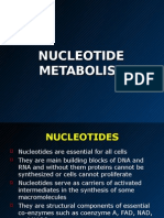 Nucleotides Chemistry and Metabolism