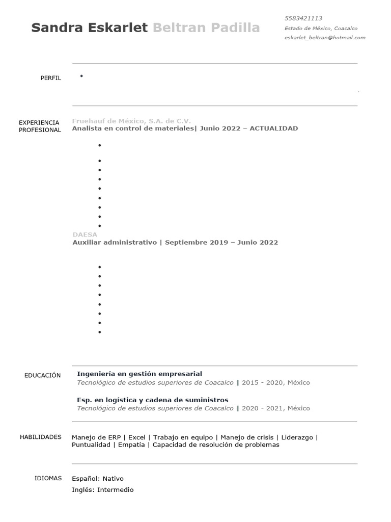 CV Sandy | PDF | Planificación de recursos empresariales | Logística