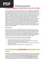 Download Teknik Budidaya CABAI HIBRIDA SISTEM MULSA PLASTIK by Yus Efendi SN104760503 doc pdf