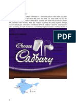 Cadbury India Sales Overview