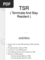 TSR (Terminate and Stay Resident)