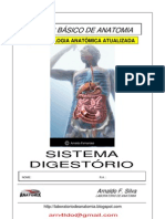 Mod. 3 - Sistema Digestorio