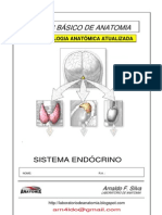 Mod. 4 - Sistema Endócrino