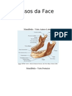 Mod. 5 - Ossos Da Face