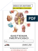 Mod. 6 - Sistema Nervoso