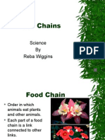 Food Chains: Science by Reba Wiggins