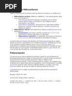 Download Clasificacin Hidrocarburos y Polimeros by Sol Sileoni SN104810657 doc pdf