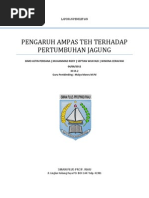 Laporan Biologi - Pengaruh Ampas Teh Terhadap Pertumbuhan Jagung