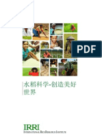 IRRI Brochure-Chinese version