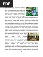 Download banjar by ddhamidon SN104858090 doc pdf