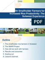 Working with smallholder farmers for increased rice productivity