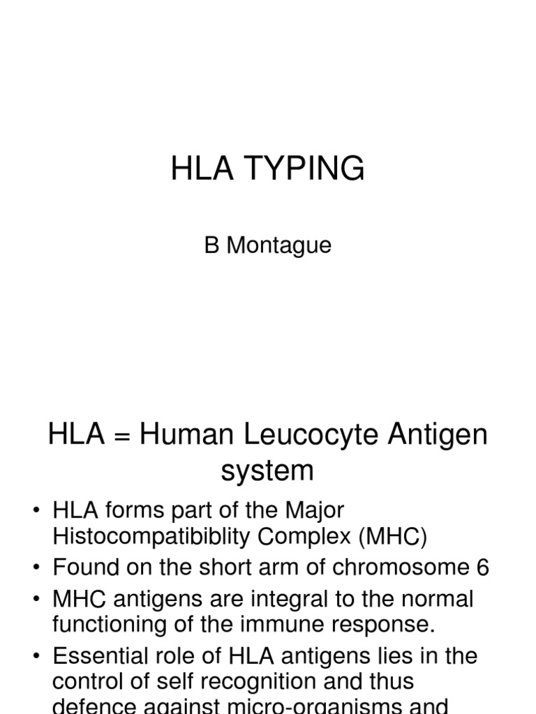 Hla Typing Human Leukocyte Antigen Mhc Class I