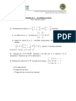 Prueba 1 Algebra Lineal 2012 UNICIT