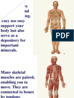 Your Bones Are Living Tissue and Always Changing. They Not Only Support Your Body But Also Serve As A Depository For Important Minerals