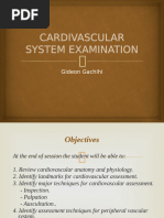 Cardiovascular Assessment Documentation Guide | PDF