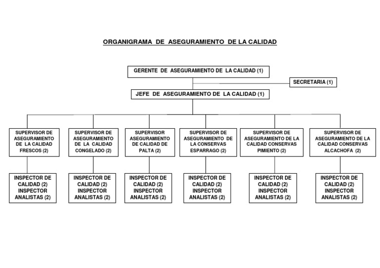Organigrama Aseguramiento de La Calidad