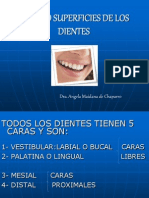Caras y superficies dentales