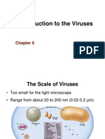 CH 6 Virus
