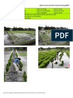 2012WS MET 2-Irrigated - Week 4 (June) Midsayap