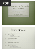 Curso de ntroducción a la psicología pericial penal