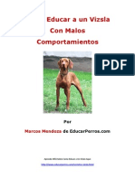 Como Educar a Un Vizsla Con Malos Comportamientos